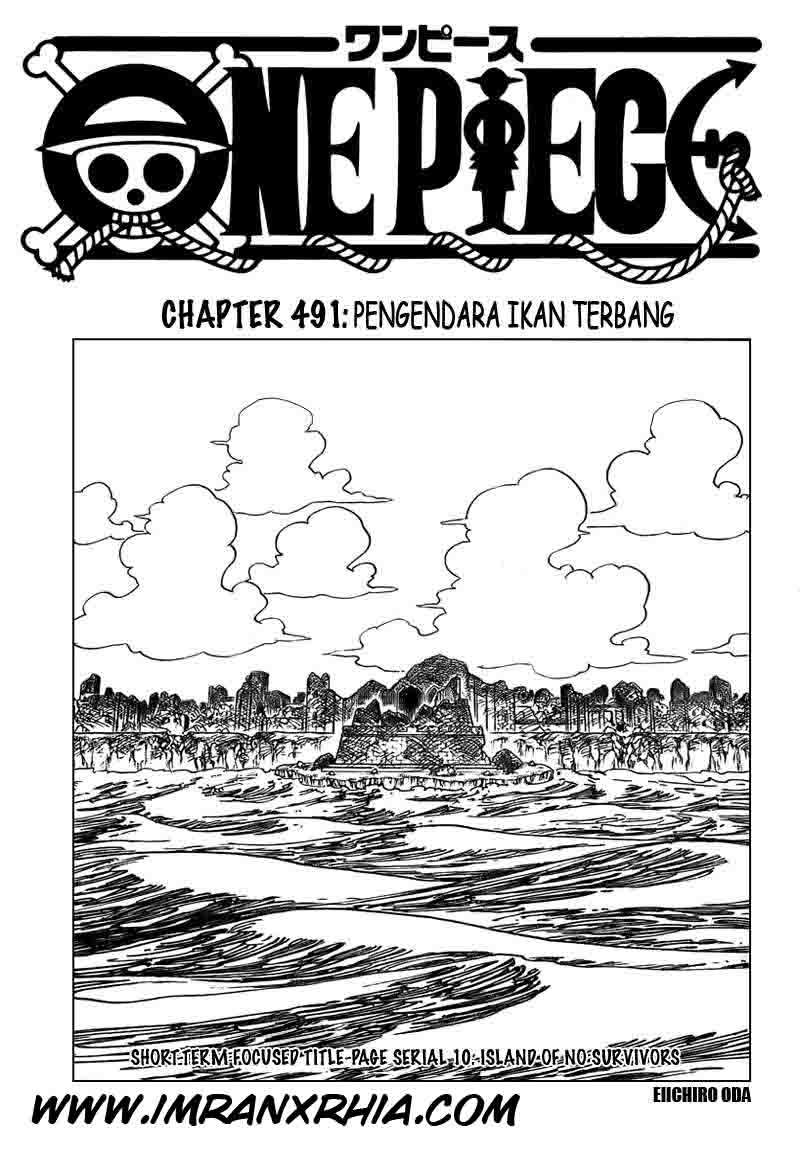 One Piece: Chapter 491 - Page 1