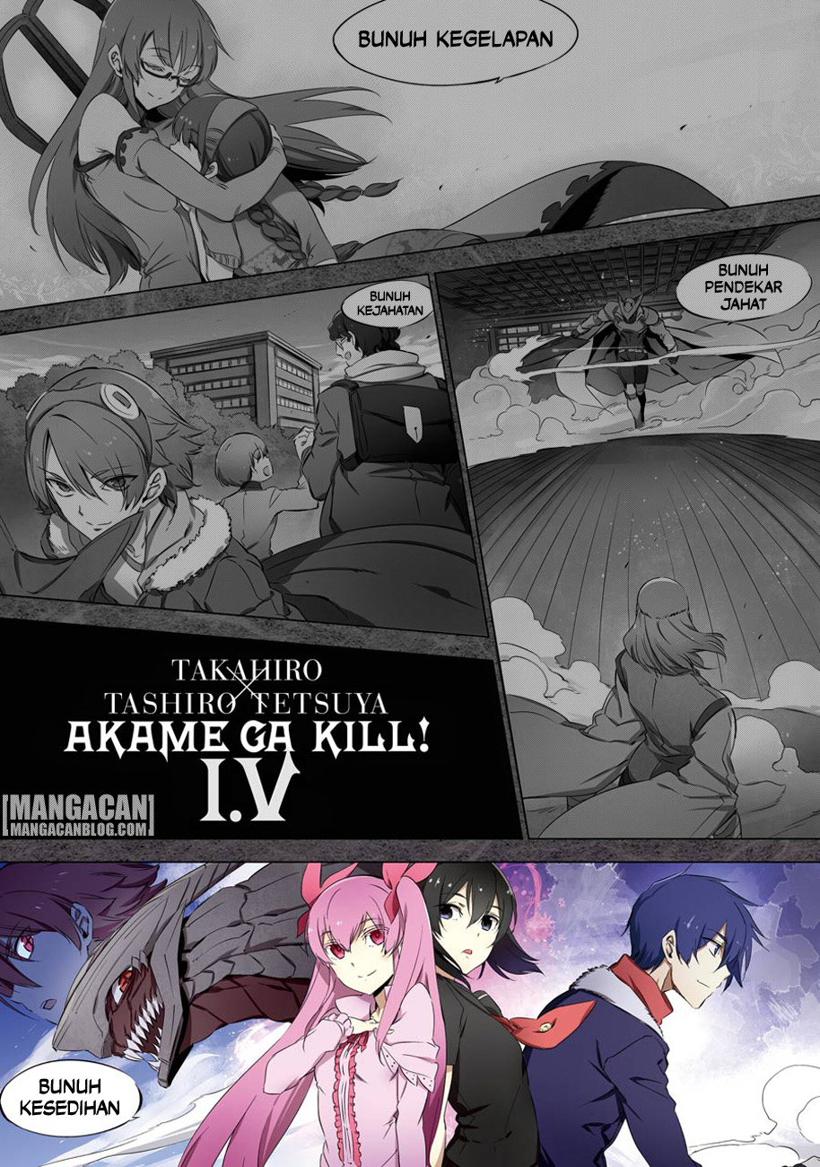 Akame ga Kill!: Chapter 78.5 - Page 1
