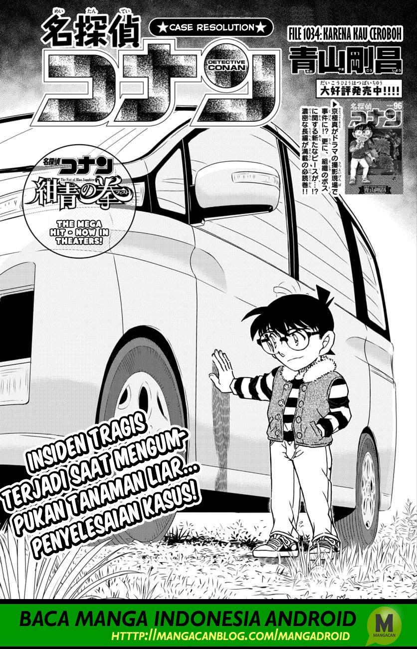 Detective Conan: Chapter 1034 - Page 1