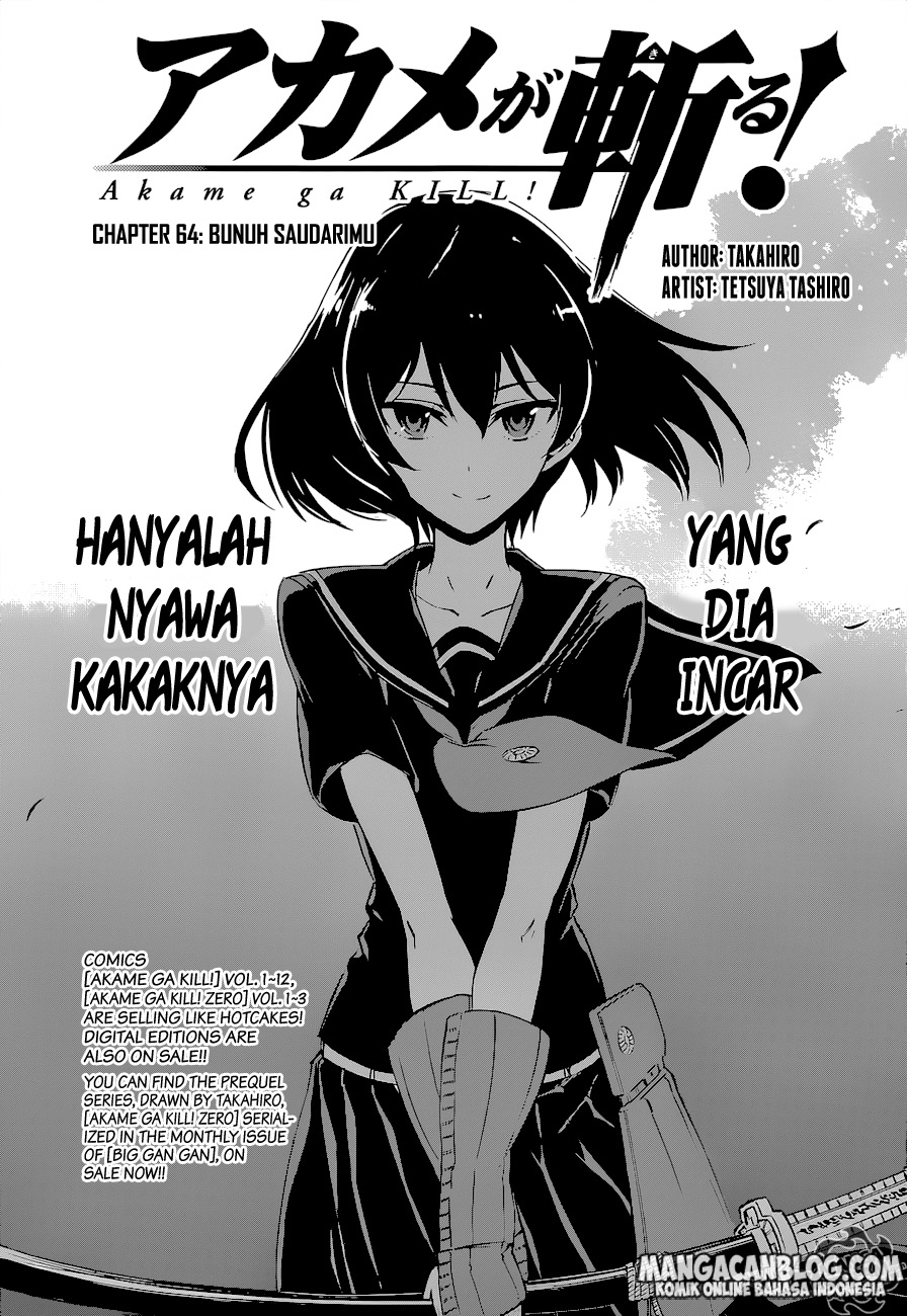 Akame ga Kill!: Chapter 64 - Page 1