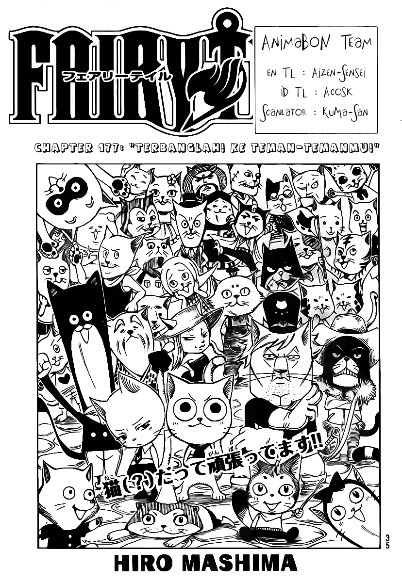 Fairy Tail: Chapter 177 - Page 1