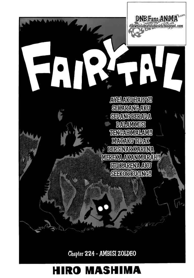 Fairy Tail: Chapter 224 - Page 1